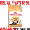 Royal Canin Persian Kedi Maması 10 Kg Gel Al 18348002 Amazon Pet Center
