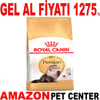 Royal Canin Persian Kedi Maması 2 Kg Gel Al 18350005 Amazon Pet Center