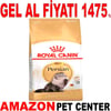 Royal Canin Persian Kedi Maması 2 Kg Gel Al 18350005 Amazon Pet Center