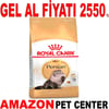 Royal Canin Persian Kedi Maması 4 Kg Gel Al  18351002 Amazon Pet Center