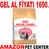 Royal Canin Persian Kitten Yavru Kedi Maması 2 Kg Gel Al 18352009 Amazon Pet Center