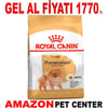Royal Canin Pomeranian Yetişkin Köpek Maması 3 Kg Gel Al 18332001 Amazon Pet Center