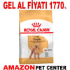 Royal Canin Poodle Yetişkin Köpek Maması 3 Kg Gel Al 18333008 Amazon Pet Center
