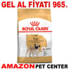 Royal Canin Pug Köpek Maması 1.5 kg Gel Al 18335002 Amazon Pet Center