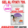 Royal Canin Sterilised jely Yaş Kısır Kedi Maması 85 Gr 12 Ad Gel Al 18402001 Amazon Pet Center