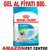 Royal Canin X-Small Junior Mini Irk Yavru Köpek Maması 1.5 Kg Gel Al 18395006 Amazon Pet Center