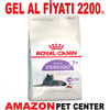 Royal Canin Yaşlı Kediler İçin Kısır Kedi Maması +7 3,5 Kg Gel Al 22157003 Amazon Pet Center