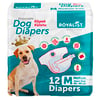 Royalist Köpek Alt Bağlama Bezi Medium 46-66 cm 12 Adet 8682291402330 Amazon Pet Center