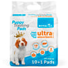 Royalist Yapışkan Bantlı Köpek Tuvalet Eğitim Pedi 60x60 Cm 11 Adet 8682291402255 Amazon Pet Center