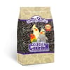 Sweet Bird Çizgili Paraket Çekirdeği 500 gr 8681299609154 Amazon Pet Papağan Yemleri Amazon Pet Center