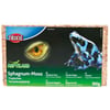 Trixie Bataklık Yosunu Sürüngen Taban Malzemesi 100 gr 4011905761589 Amazon Pet Center