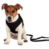 Trixie Yavru Köpek Göğüs Tasma ve Kayışı 33-47cm/2m/10mm 4011905155913 Amazon Pet Center