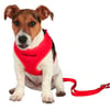 Trixie Yavru Köpek Göğüs Tasma ve Kayışı 33 - 47cm/2m/10mm 4011905155937 Amazon Pet Center