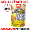 Wanpy Crunch Kedi Ödülü Catnipli Tavuklu 60 Gr 5 Ad Gel Al 35014430 Amazon Pet Center