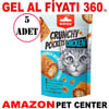 Wanpy Crunch Kedi Ödülü Tavuklu 60 Gr 5 Ad Gel Al 35014416 Amazon Pet Center