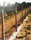 1 Decares Wire Mesh Equipment