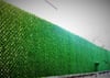Decorative Grass Fence