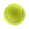 KampTop Köpek İçin Tenis