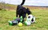 KampTop Köpek İçin Tenis