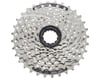 RUBLE DAG SHIMANO HG-40 11-34 8 VITES