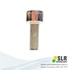 SLR Paslanmaz Imbus Civata M6x30
