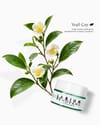 ŞEKER BAZLI MATCHA LIP SCRUB