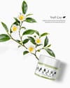 YOĞUN ONARICI MATCHA LIP BALM