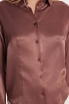 Kadın Slim Fit Dar Kesim Uzun Kollu Klasik Yaka Saten Gül Kurusu Gömlek