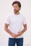 REGULAR FIT SHORT SLV CREW NECK STRIPED OYS  T-SHIRT