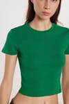 Kadın Slim Fit Dar Kesim %100 Pamuk Düz Basic Yeşil Bisiklet Yaka Tişört