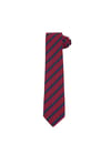 Klasik Cep Mendilli Desenli Kravat