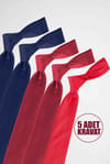 TIE HANDKERCHIEF FIVE PIECES  DUPONT
