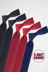 TIE HANDKERCHIEF FIVE PIECES  DUPONT