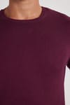 Erkek Standart Fit Normal Kesim Bisiklet Yaka Bordo Triko Kazak