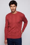Slim Fit Bisiklet Yaka Desenli Erkek Kazak
