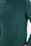 Slim Fit Dar Kesim Tam Balıkçı Yaka Desenli Erkek Triko Kazak