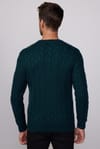 Slim Fit Bisiklet Yaka  Desenli Yeşil Erkek Kazak