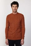 Slim Fit Bisiklet Yaka Desenli Tarçın Erkek Triko Kazak