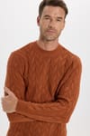 Slim Fit Bisiklet Yaka Desenli Tarçın Erkek Triko Kazak