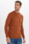 Slim Fit Bisiklet Yaka Desenli Tarçın Erkek Triko Kazak
