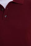 Erkek Standart Fit Normal Kesim Pamuklu Polo Yaka Bordo Kazak