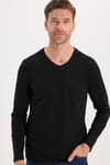 SLIM FIT LONG SLV V NECK PLAIN LYC  T-SHIRT