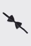 BIG BOW TIE