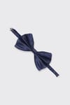 BIG BOW TIE