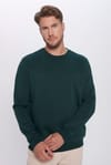 Unisex Relax Fit Rahat Kesim Pamuklu Yumuşak Dokulu İçi Polarlı Basic Yeşil Bisiklet Yaka Sweatshirt