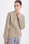 Kadın Oversize Geniş Kesim Pamuklu 3 İplik İçi Polarlı Basic Taş Bisiklet Yaka Sweatshirt