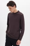 Erkek Standart Fit Normal Kesim Uzun Kollu Ekstra Soft Modal Kumaş Bisiklet Yaka Kahverengi Sweatshirt