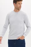 Erkek Standart Fit Normal Kesim Uzun Kollu Ekstra Soft Modal Kumaş Bisiklet Yaka Gri Sweatshirt