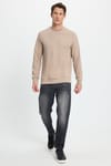 Erkek Relax Fit Rahat Kesim Uzun Kollu Bisiklet Yaka Vizon Sweatshirt