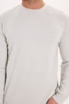 Erkek Standart Fit Normal Kesim Uzun Kollu Ekstra Soft Modal Kumaş Bisiklet Yaka Taş Sweatshirt